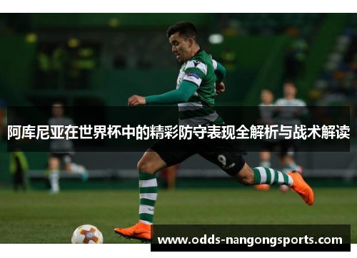 阿库尼亚在世界杯中的精彩防守表现全解析与战术解读