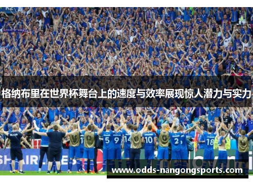 格纳布里在世界杯舞台上的速度与效率展现惊人潜力与实力