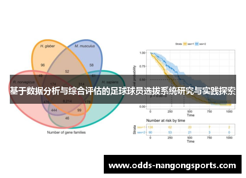 基于数据分析与综合评估的足球球员选拔系统研究与实践探索