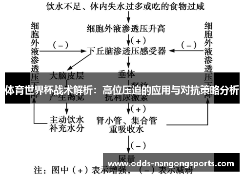 体育世界杯战术解析：高位压迫的应用与对抗策略分析