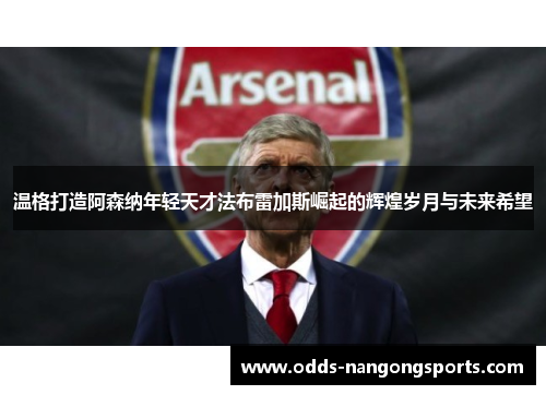 温格打造阿森纳年轻天才法布雷加斯崛起的辉煌岁月与未来希望