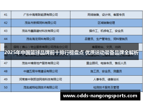 2025年中国篮球品牌前十排行榜盘点 优质运动装备品牌全解析