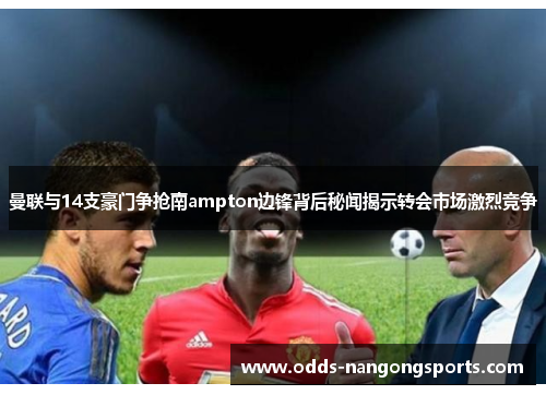 曼联与14支豪门争抢南ampton边锋背后秘闻揭示转会市场激烈竞争