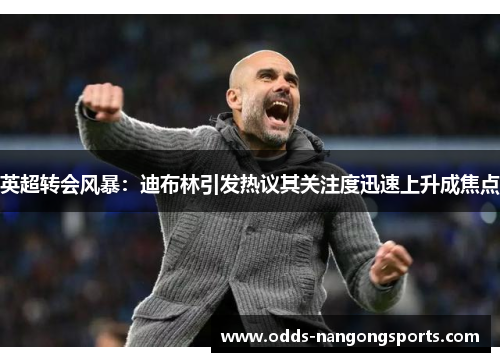 英超转会风暴：迪布林引发热议其关注度迅速上升成焦点