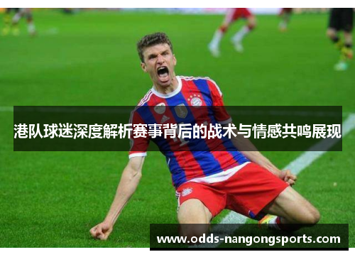 港队球迷深度解析赛事背后的战术与情感共鸣展现