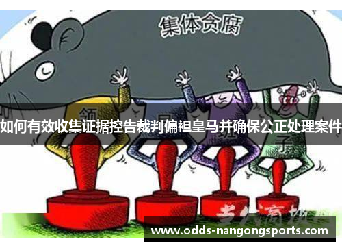 如何有效收集证据控告裁判偏袒皇马并确保公正处理案件