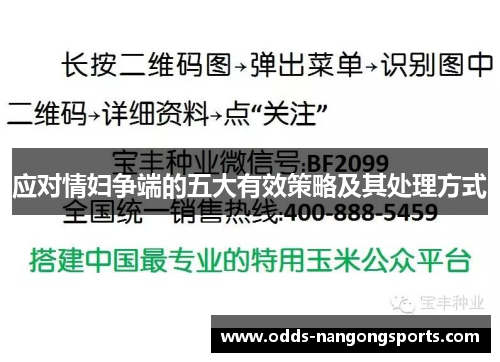应对情妇争端的五大有效策略及其处理方式