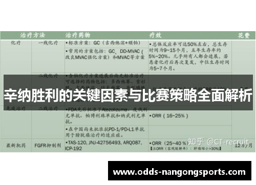 辛纳胜利的关键因素与比赛策略全面解析