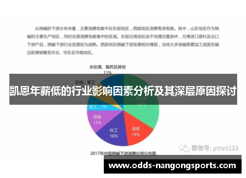 凯恩年薪低的行业影响因素分析及其深层原因探讨