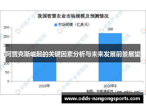阿贾克斯崛起的关键因素分析与未来发展前景展望